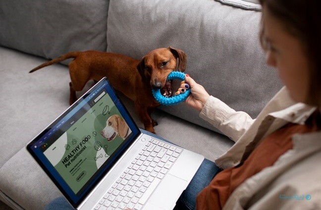 وتوریا می‌خواهد بیمارستان آنلاین حیوانات خانگی باشد - آژانس مدیا و مارکتینگ ردی استودیو
